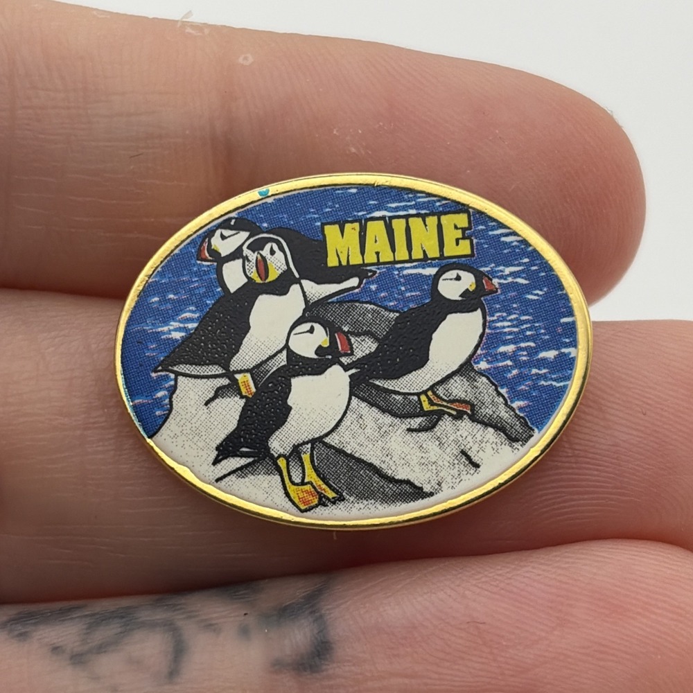Maine Puffins United States Of America Water Ocean Rocks Lapel Hat Pin